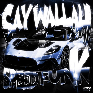 SAY WALLAHI SPEED FUNK (Ultra Slowed)