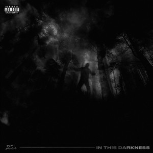 In This Darkness by Zir