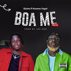 Boa Me (Remix) (feat. Kwame Yogot)