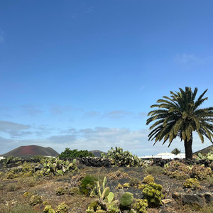 Silentsido - Summerwine