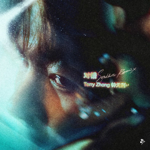 对错 (Synthetic Remix) by Terry Zhong, Synthetic
