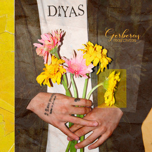 Gerberas marchitas by DIYAS