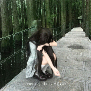DJDJ给我一条K - Dj感觉至上 by DJ小李子