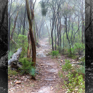 A Journey's Beginning by sounds like indigo