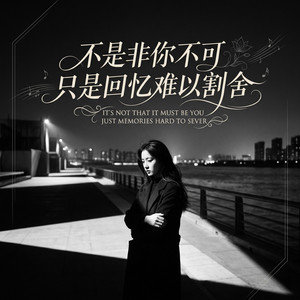 不是非你不可只是回忆难以割舍 by 邵金刚