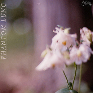 Phantom Lung by Cloudbelly