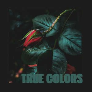 True Colors by Young Milano