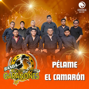 Banda Los Garanones - No Se Va