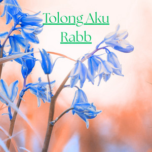 Ahmad Siddiq Al Bakasy - Tolong Aku Rabb