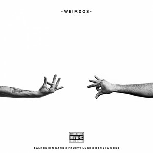 Intro by Balkonien Gang, Fruity Luke, Benji & Moss, Stan, Masey, Majus