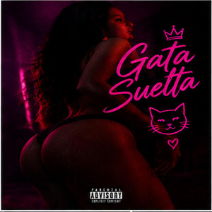 gata suelta by Mr joniel