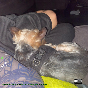 JRDN HPKNZ's Leftovers, Vol. 1