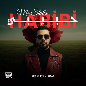 Mr-SKiLLS - Habibi