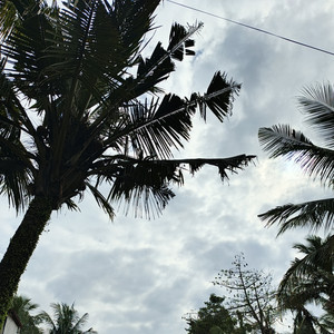 Louisep - I Am the Best