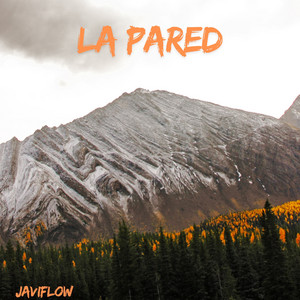 LA PARED by JaviFlow