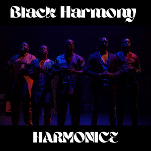 Don't Let It Go to Your Head - song and lyrics by Black Harmony