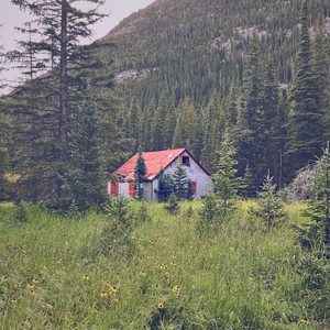 movements of the sea