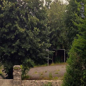 girl (Like a) cover art