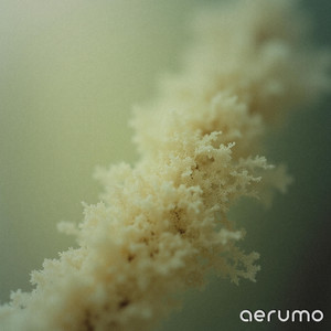 Jade Murmur 432 Hz by Aerumo