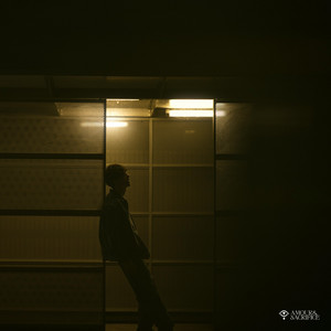 CHAGRIN DE PLUS by DAKEEZ