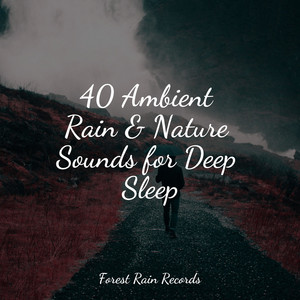 40 Ambient Rain & Nature Sounds for Deep Sleep album