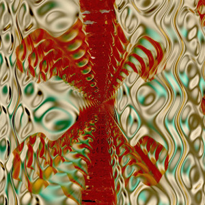 Reverse Twisted by What Never