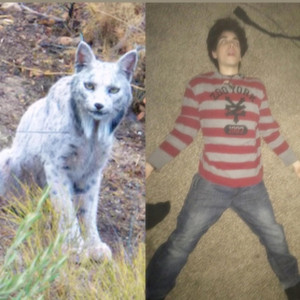 Cuando Muera Quiero Renacer Como Un Lince Ibérico Blanco