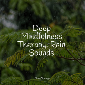 Deep Mindfulness Therapy: Rain Sounds album