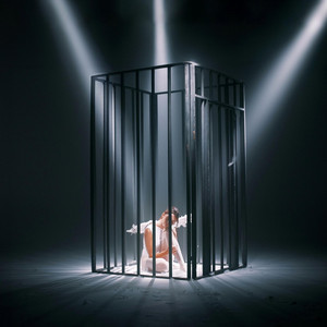 Bird in a Cage by Chiara King