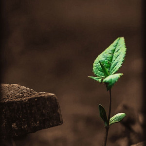 MATARNIEGHT - لعلها خير والله لعلها خير