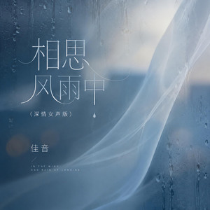 相思风雨中 - 深情女声版 by 佳音