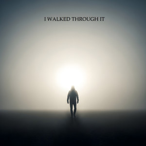 ALHASSAN MANSARAY - I WALKED THROUGH IT