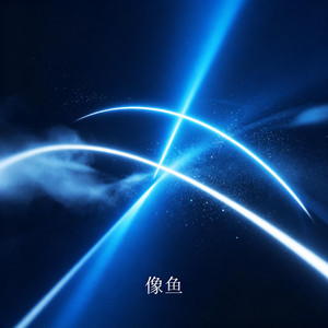 像魚（DJ版） by 卢润泽