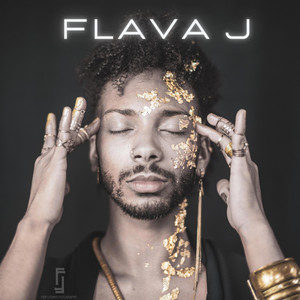 Changed My Mind by Flava J
