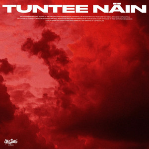 TUNTEE NÄIN by NIKO1