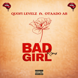 Bad Girl - Remix by Quofi Levelz, OtaadoAB