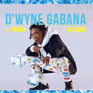 D Wayne Gabana - Namba Alu (feat. Trisha)