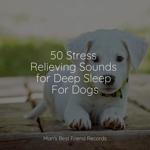 50 Stress Relieving Sounds for Deep Sleep For Dogs album