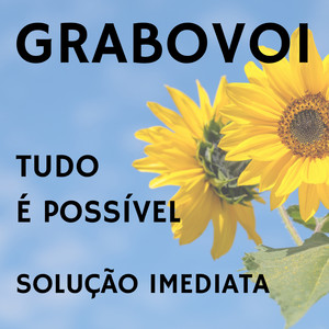 Portada de Tudo É Possível