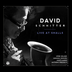 Live at Smalls — David Schnitter