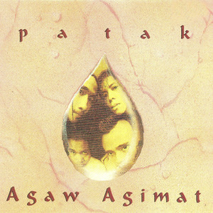 Patak cover