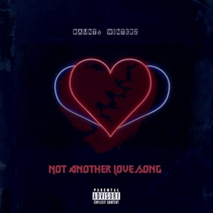 Not Another Love Song