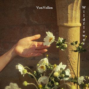 VonVollen - Wildflower