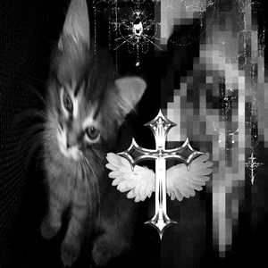 Ты похож на кота x mylancore - Slowed by qwzbtw0, DXST