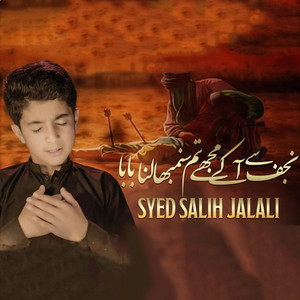 Syed Salih Jalali - NAJAF SE AKAY MUJAY TUM SANBALNA BABA