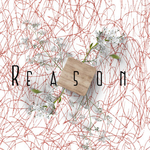Reason by Slitherher
