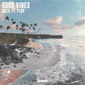 Good Vibes by Saco, Plør