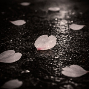 TORICO - song and lyrics by GINTA, misono | Spotify