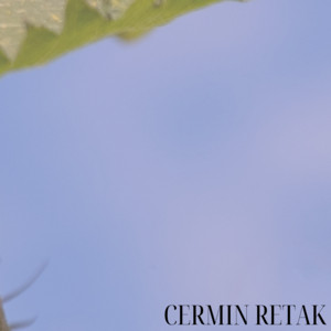 Nonika Kabula - Cermin Retak