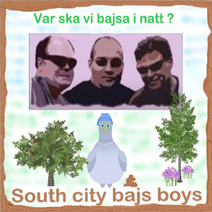 Var Ska VI Bajsa I Natt